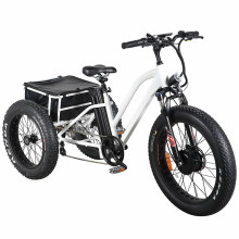 High Quality Three Wheel Adult Cargo Electric Tricycle